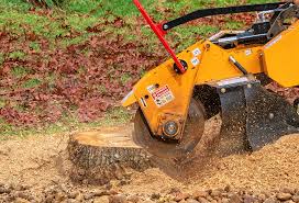 Reliable Montesano, WA Tree Care Solutions